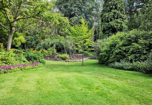 Optimiser l'expérience du jardin à Saint-Etienne-de-Lugdares